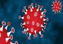 ఎక్కువగా కొత్తరకం కరోనా కేసులు..