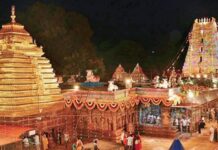 కార్తీక మాస ఉత్సవాలు ప్రారంభం…