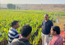 అత్యధిక ఆదాయం..