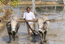 రైతు రాజు అయితే… రాజు కూడా రైతే మంత్రి ఎర్రబెల్లి