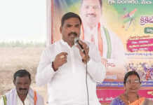 జిల్లా స్థాయి క్రికెట్ టోర్నమెంట్ ప్రారంభం