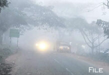 ప్రయాణంలో తగు జాగ్రత్త..మంచిది