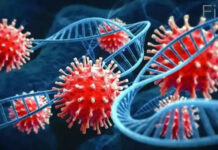 కరోనా వచ్చిపోయిందని సంబరపడుతున్నారా.. 18నెలలు డేంజర్లో ఉన్నట్లే..