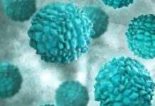 కొత్తగా నోరో వైరస్…19 మంది విద్యార్థులకు పాజిటివ్