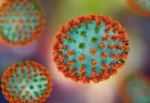 దేశంలో కలవరపెడుతున్నాఇన్ఫ్లూయెంజా కేసులు.. హెచ్3ఎన్2తో ఆరుగురు మృతి..