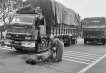 రోడు ప్రమాదంలో మహిళ మృతి