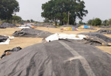 లారీల కొరతతో కొనుగోలు కేంద్రాల్లోనే ధాన్యం రాశులు