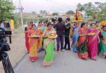 అభివృద్ధిపై డాక్యుమెంటరీ..