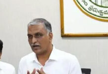 అధికార యంత్రాంగంతో టెలి కాన్ఫరెన్స్ నిర్వహింహిన: మంత్రి హరీష్