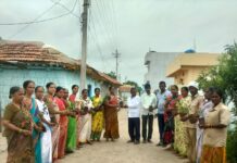 మొక్కలు నాటండి.. పర్యావరణాన్ని కాపాడండి…