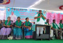 హరితోత్సవంతో పల్లెలలో కొత్త శోభ నింపిన ఘనత కేసీఆర్ : ఎమ్మెల్యే సతీష్ బాబు