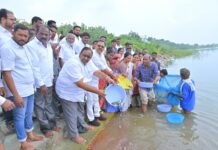 మత్స్యకారులకు గుర్తింపు కార్డులు పంపిణీ చేసిన: ఎమ్మెల్యే వొడితల సతీష్