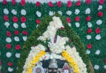 మత్స్యావతారంలో పిల్లలమర్రి చెన్నకేశవ స్వామి